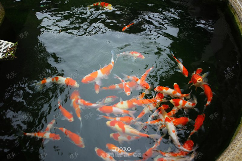 智能私人家庭影院